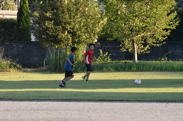 かわじま公園で遊ぶ子どもたち.jpg